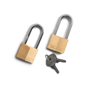 Bear-Proof Lock Two-Pack