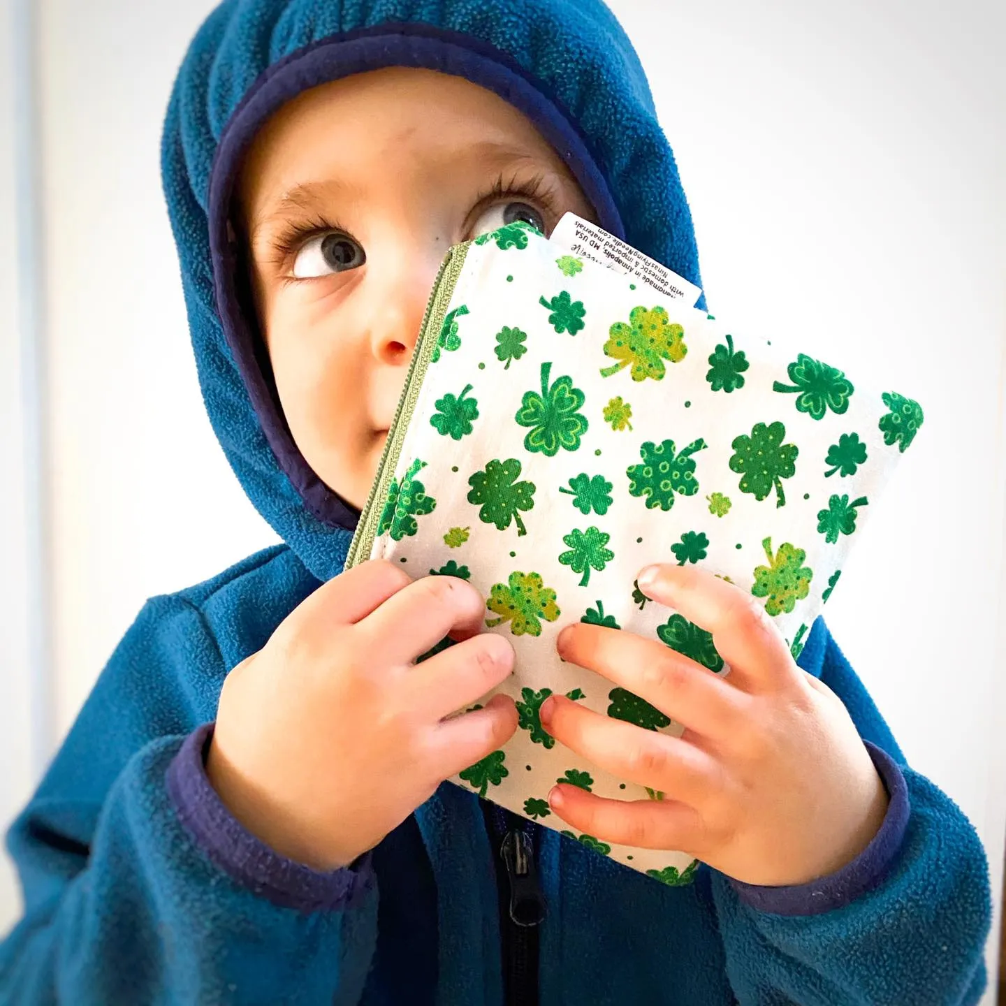 Toddler Sized Reusable Zippered Bag Baseball